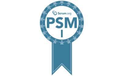 PSM 1 Examination Support